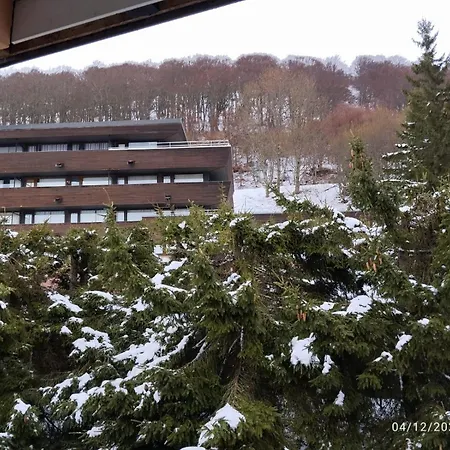Proches Des Pistes F2 36M2 4-6 Pers 2 Etoiles Apartment Besse-et-Saint-Anastaise Exterior photo